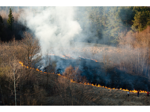 Kaip tvarkyti žaliąsias atliekas, kad nekiltų žolės gaisrai?
